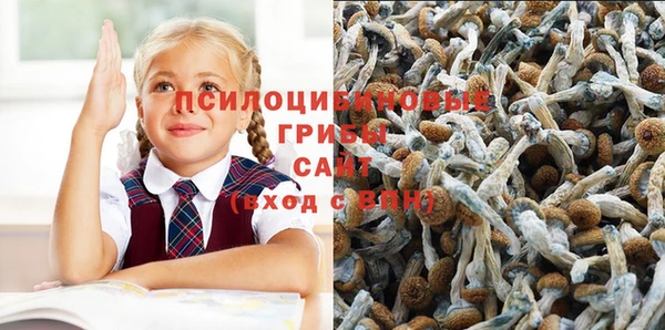 альфа пвп Краснослободск