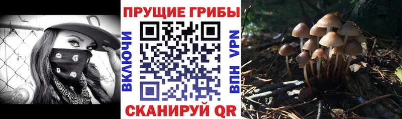 Псилоцибиновые грибы мухоморы Курчатов