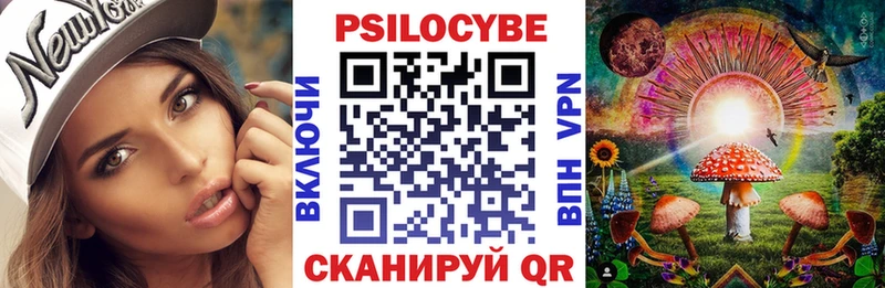 darknet как зайти  blacksprut зеркало  Курчатов  где можно купить наркотик  Псилоцибиновые грибы Cubensis 